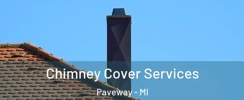 Chimney Cover Services Paveway - MI