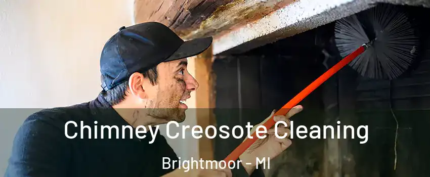 Chimney Creosote Cleaning Brightmoor - MI