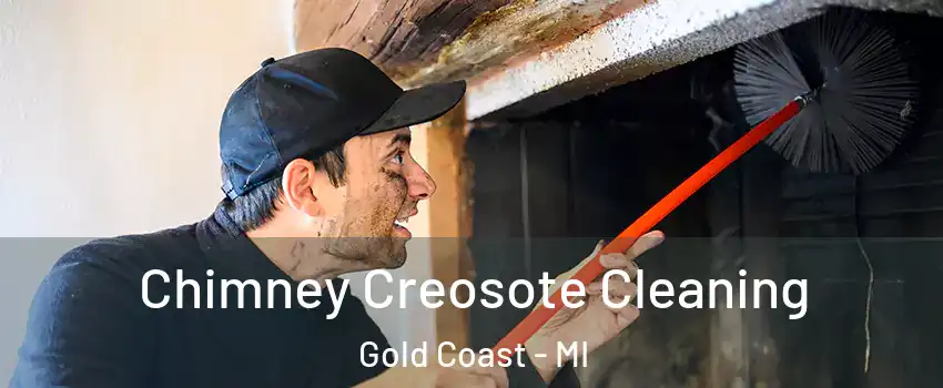 Chimney Creosote Cleaning Gold Coast - MI