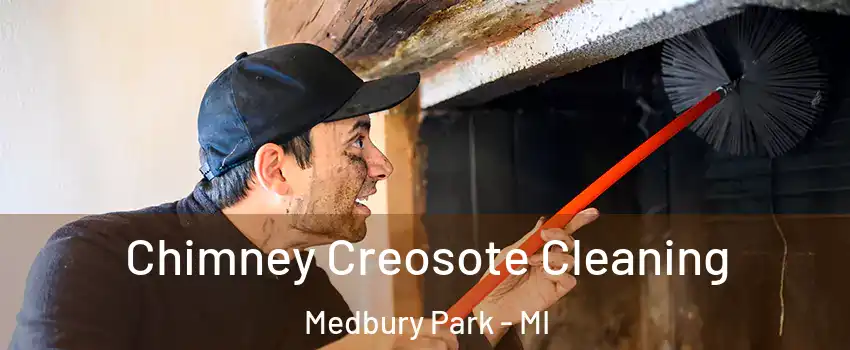 Chimney Creosote Cleaning Medbury Park - MI