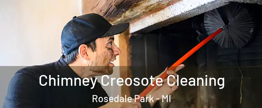 Chimney Creosote Cleaning Rosedale Park - MI