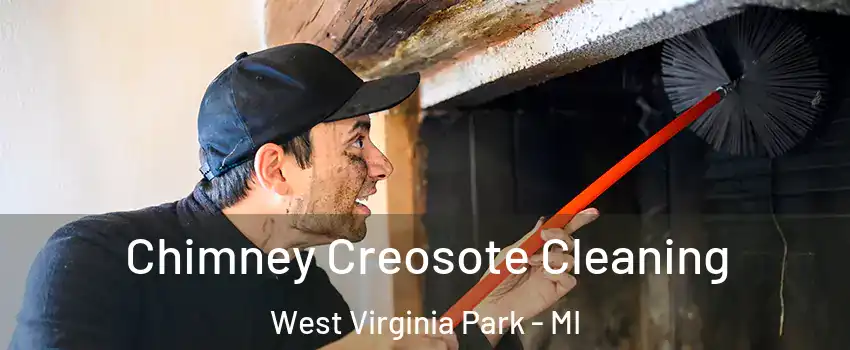 Chimney Creosote Cleaning West Virginia Park - MI