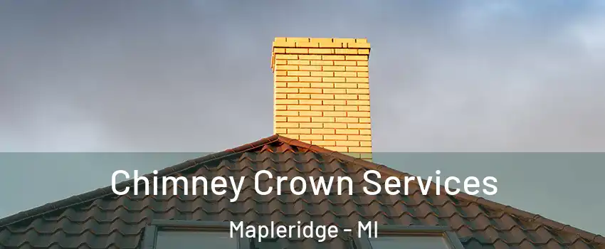 Chimney Crown Services Mapleridge - MI