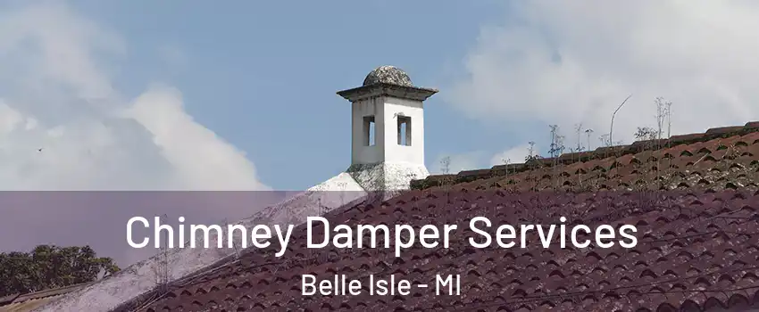 Chimney Damper Services Belle Isle - MI