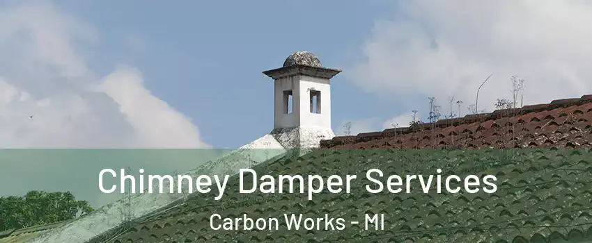 Chimney Damper Services Carbon Works - MI