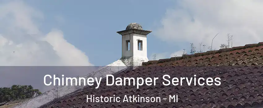 Chimney Damper Services Historic Atkinson - MI