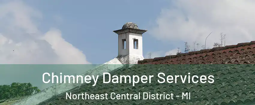 Chimney Damper Services Northeast Central District - MI
