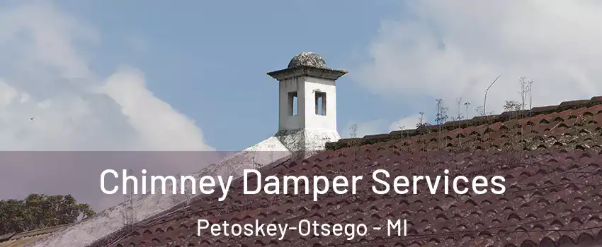 Chimney Damper Services Petoskey-Otsego - MI