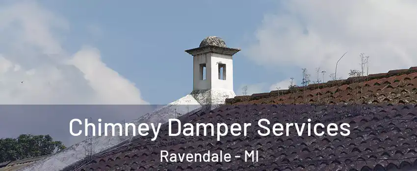 Chimney Damper Services Ravendale - MI