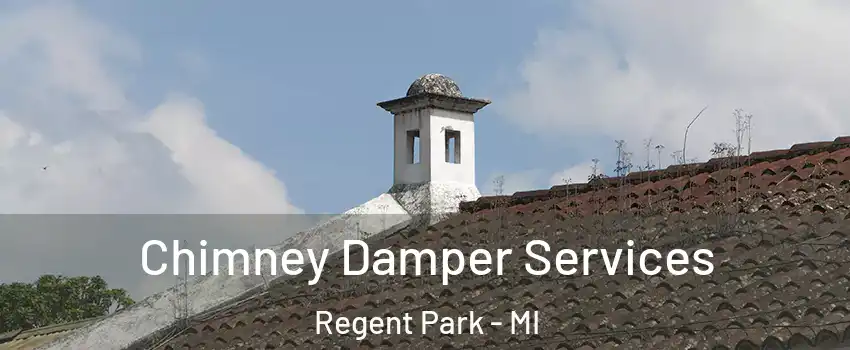 Chimney Damper Services Regent Park - MI