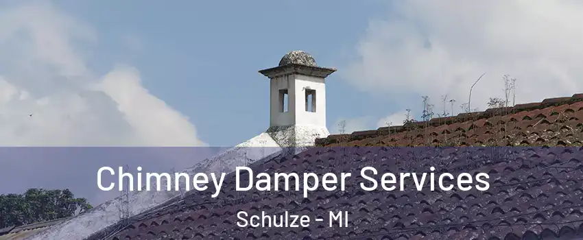 Chimney Damper Services Schulze - MI