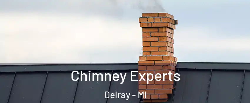 Chimney Experts Delray - MI