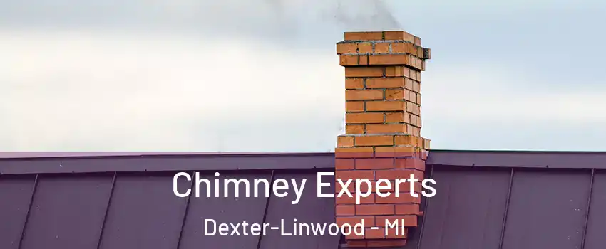 Chimney Experts Dexter-Linwood - MI