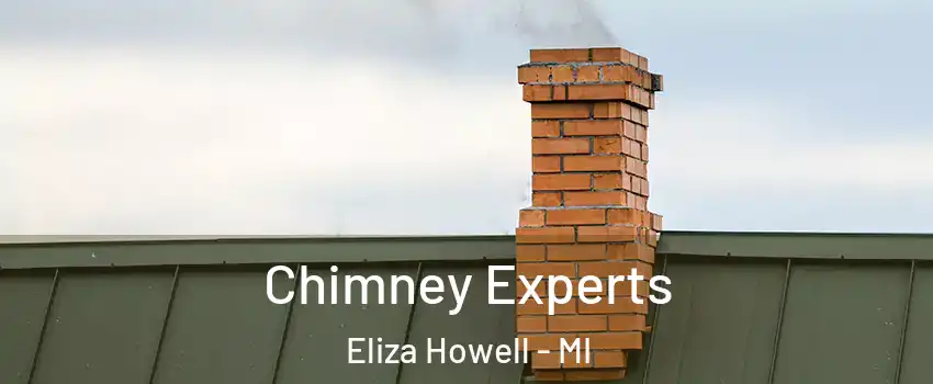 Chimney Experts Eliza Howell - MI