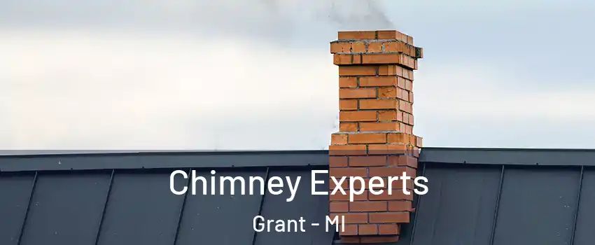 Chimney Experts Grant - MI
