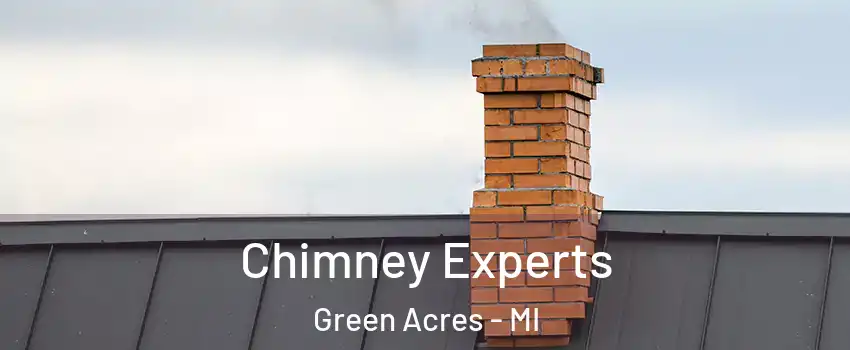 Chimney Experts Green Acres - MI