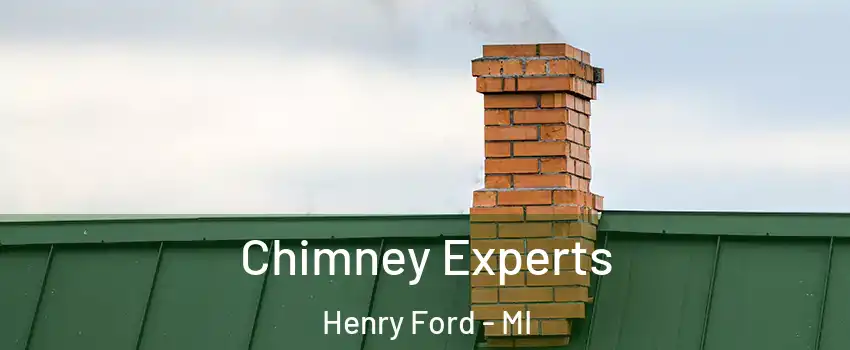 Chimney Experts Henry Ford - MI