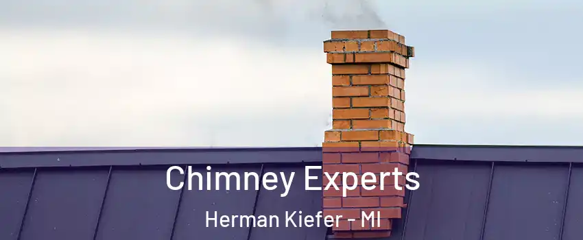 Chimney Experts Herman Kiefer - MI