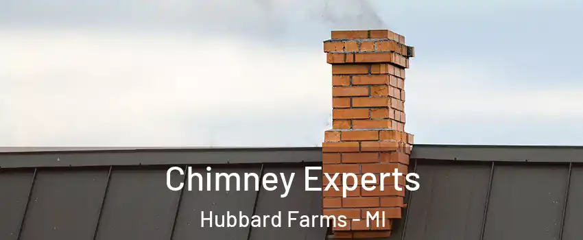 Chimney Experts Hubbard Farms - MI