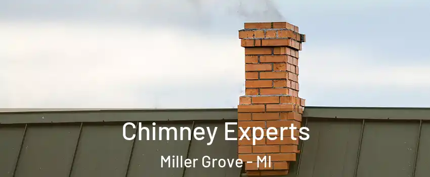 Chimney Experts Miller Grove - MI