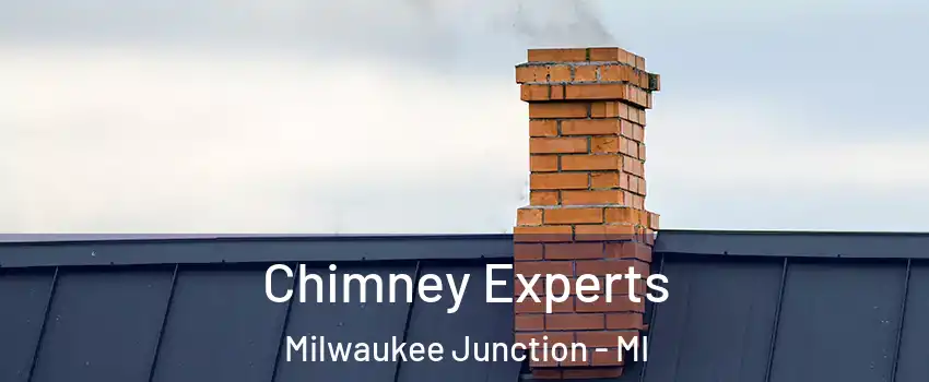 Chimney Experts Milwaukee Junction - MI