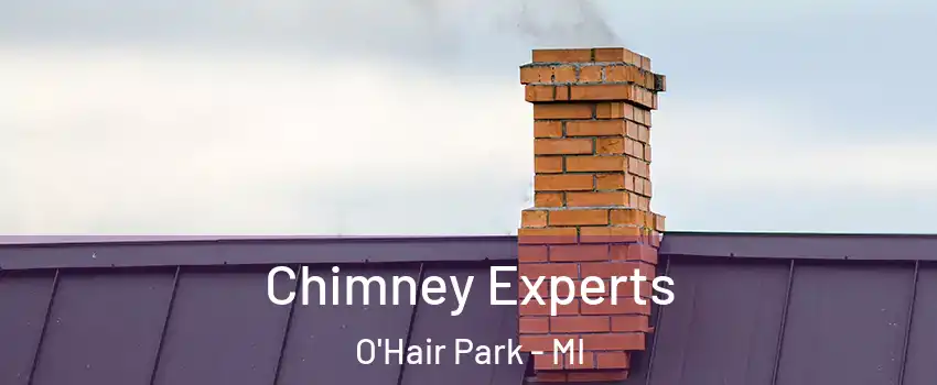 Chimney Experts O'Hair Park - MI