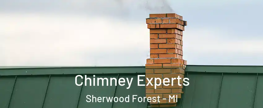 Chimney Experts Sherwood Forest - MI