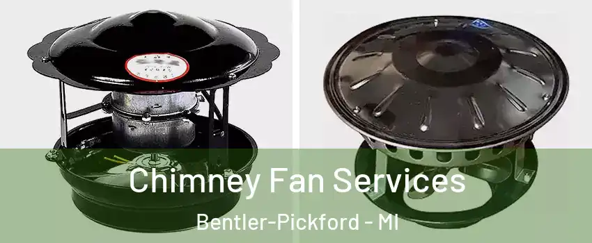 Chimney Fan Services Bentler-Pickford - MI