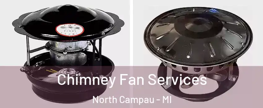 Chimney Fan Services North Campau - MI