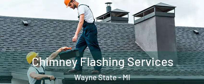 Chimney Flashing Services Wayne State - MI