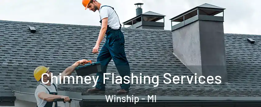 Chimney Flashing Services Winship - MI