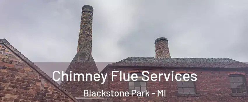 Chimney Flue Services Blackstone Park - MI