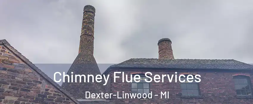 Chimney Flue Services Dexter-Linwood - MI