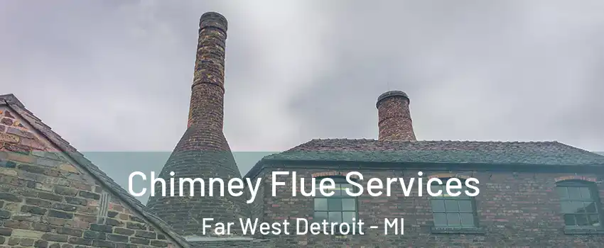 Chimney Flue Services Far West Detroit - MI