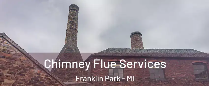 Chimney Flue Services Franklin Park - MI