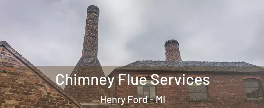 Chimney Flue Services Henry Ford - MI