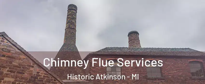 Chimney Flue Services Historic Atkinson - MI