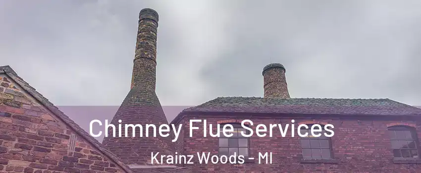Chimney Flue Services Krainz Woods - MI