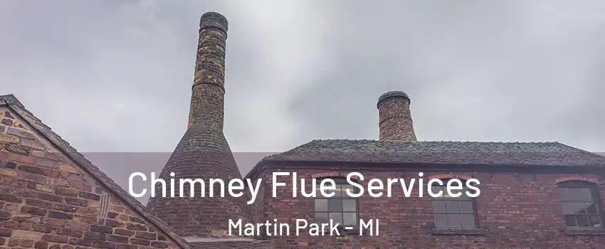 Chimney Flue Services Martin Park - MI