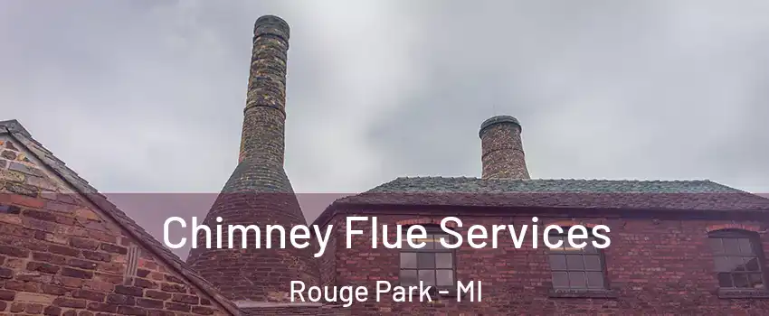 Chimney Flue Services Rouge Park - MI