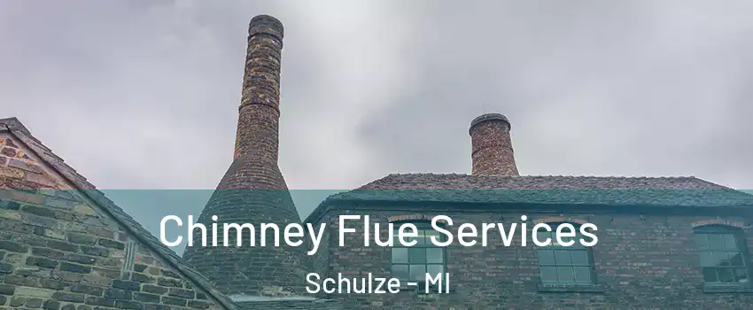 Chimney Flue Services Schulze - MI