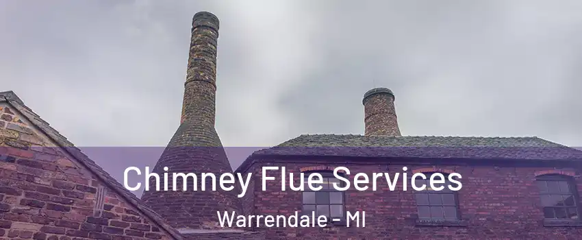 Chimney Flue Services Warrendale - MI