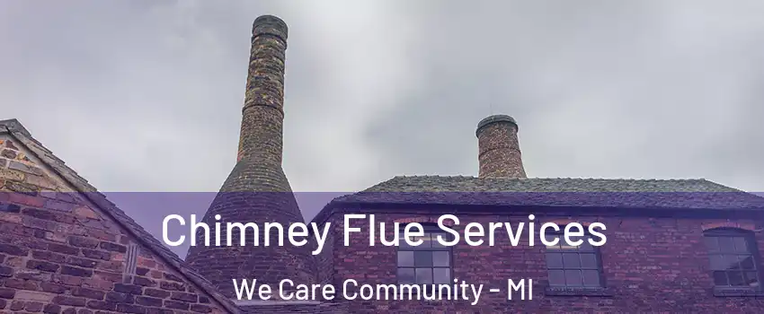 Chimney Flue Services We Care Community - MI