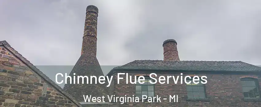 Chimney Flue Services West Virginia Park - MI