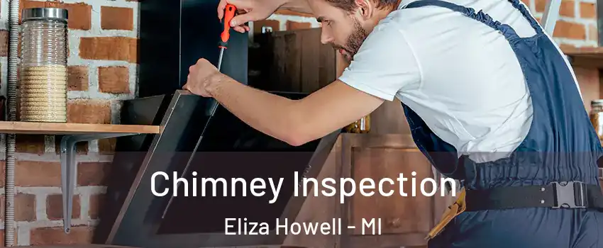 Chimney Inspection Eliza Howell - MI