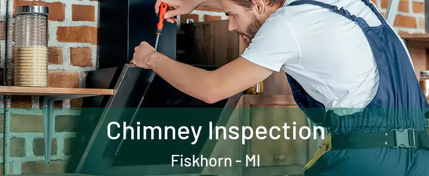 Chimney Inspection Fiskhorn - MI