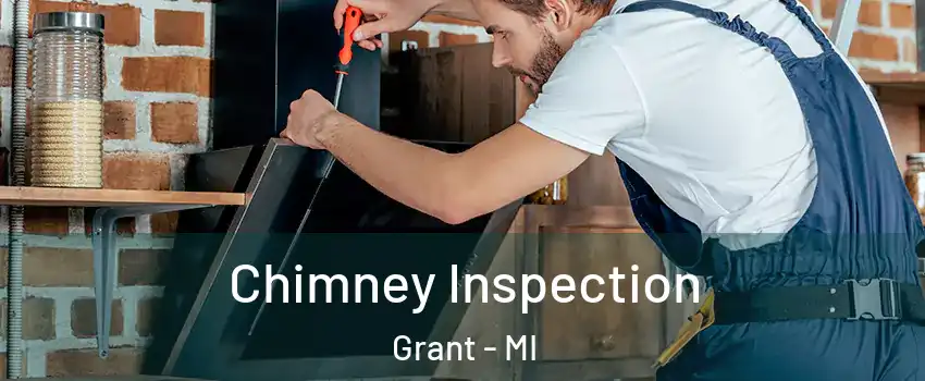 Chimney Inspection Grant - MI