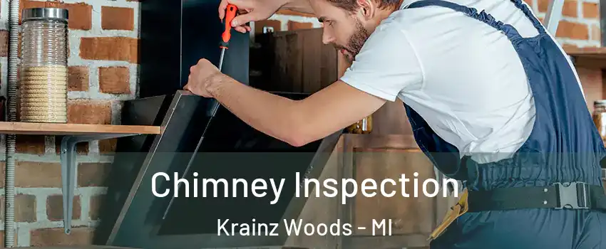 Chimney Inspection Krainz Woods - MI