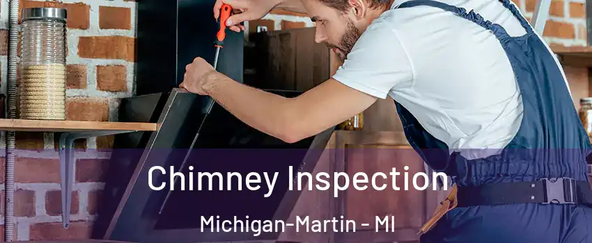 Chimney Inspection Michigan-Martin - MI