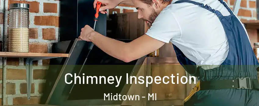 Chimney Inspection Midtown - MI